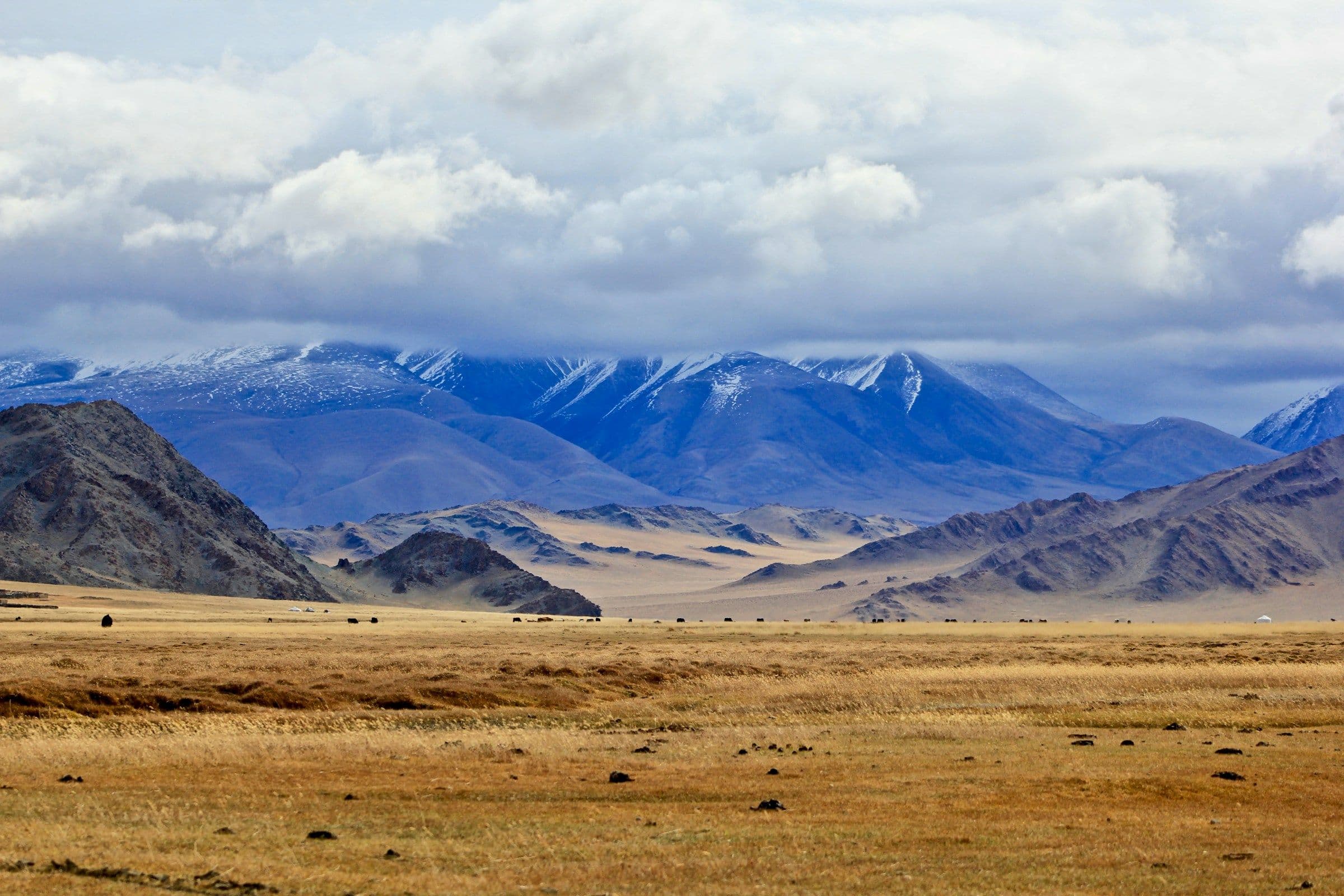Les incontournables de la Mongolie