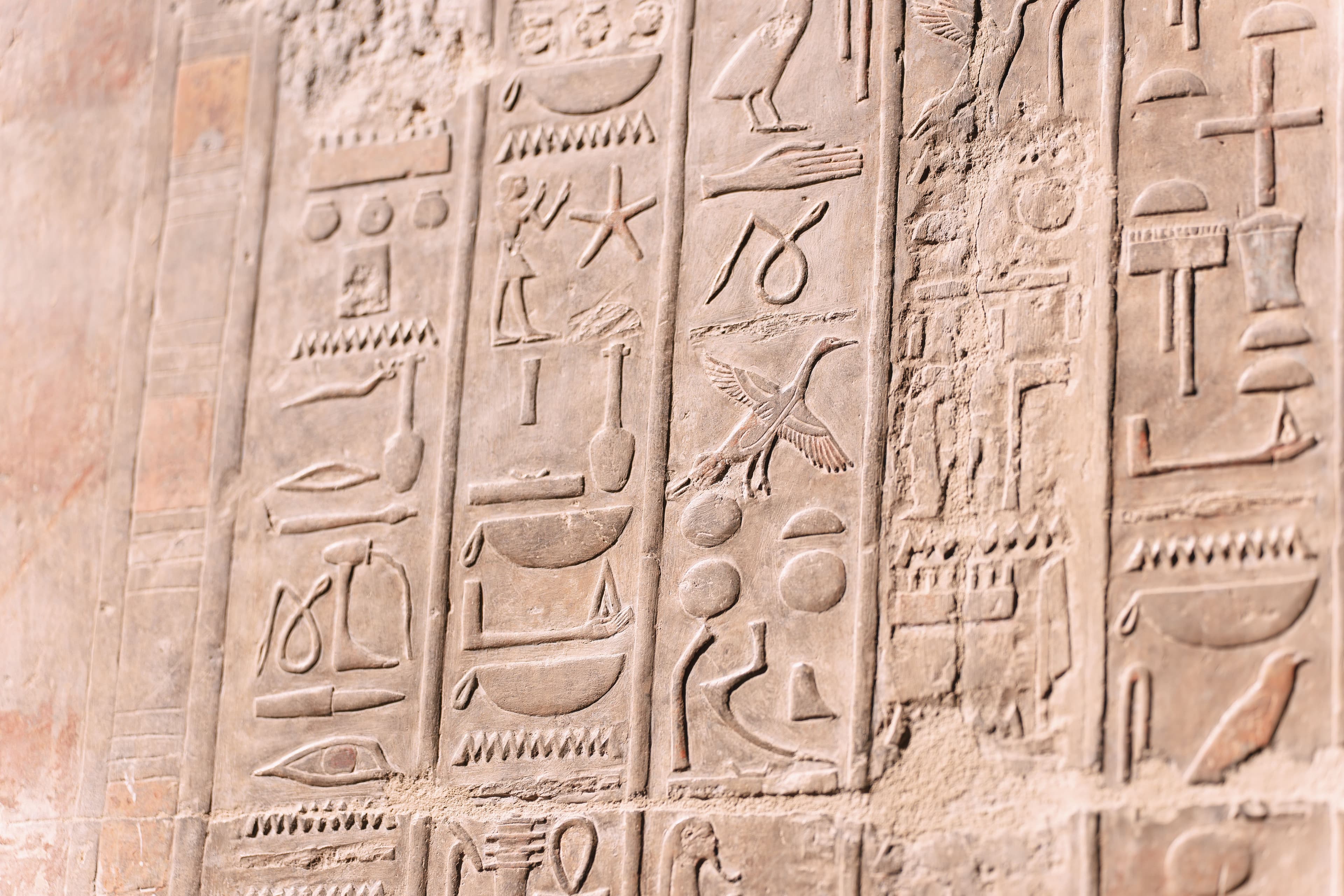 Les hiéroglyphes égyptiens
