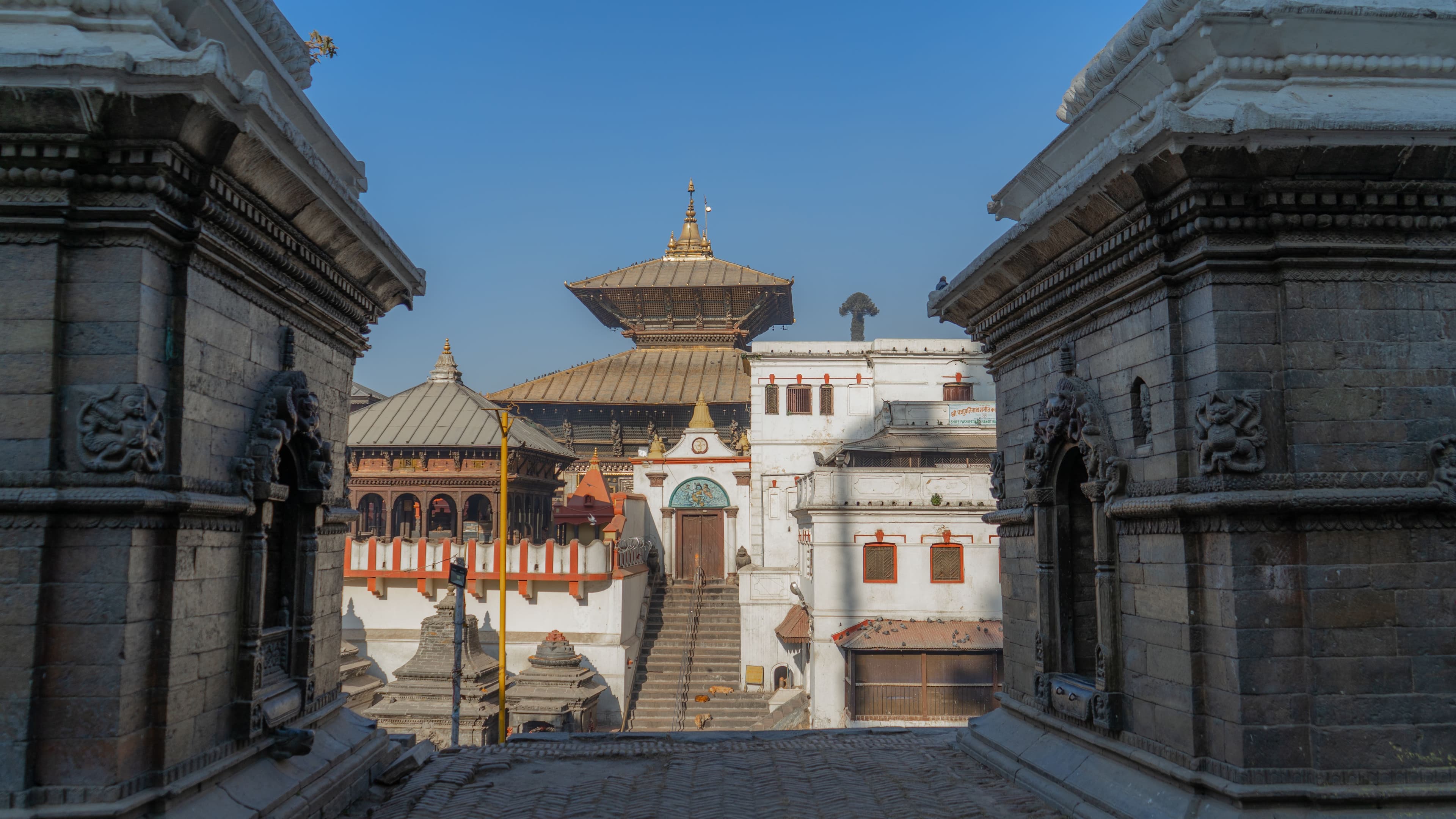 Pashupatinath : comprendre l’un des lieux les plus sacrés du Népal