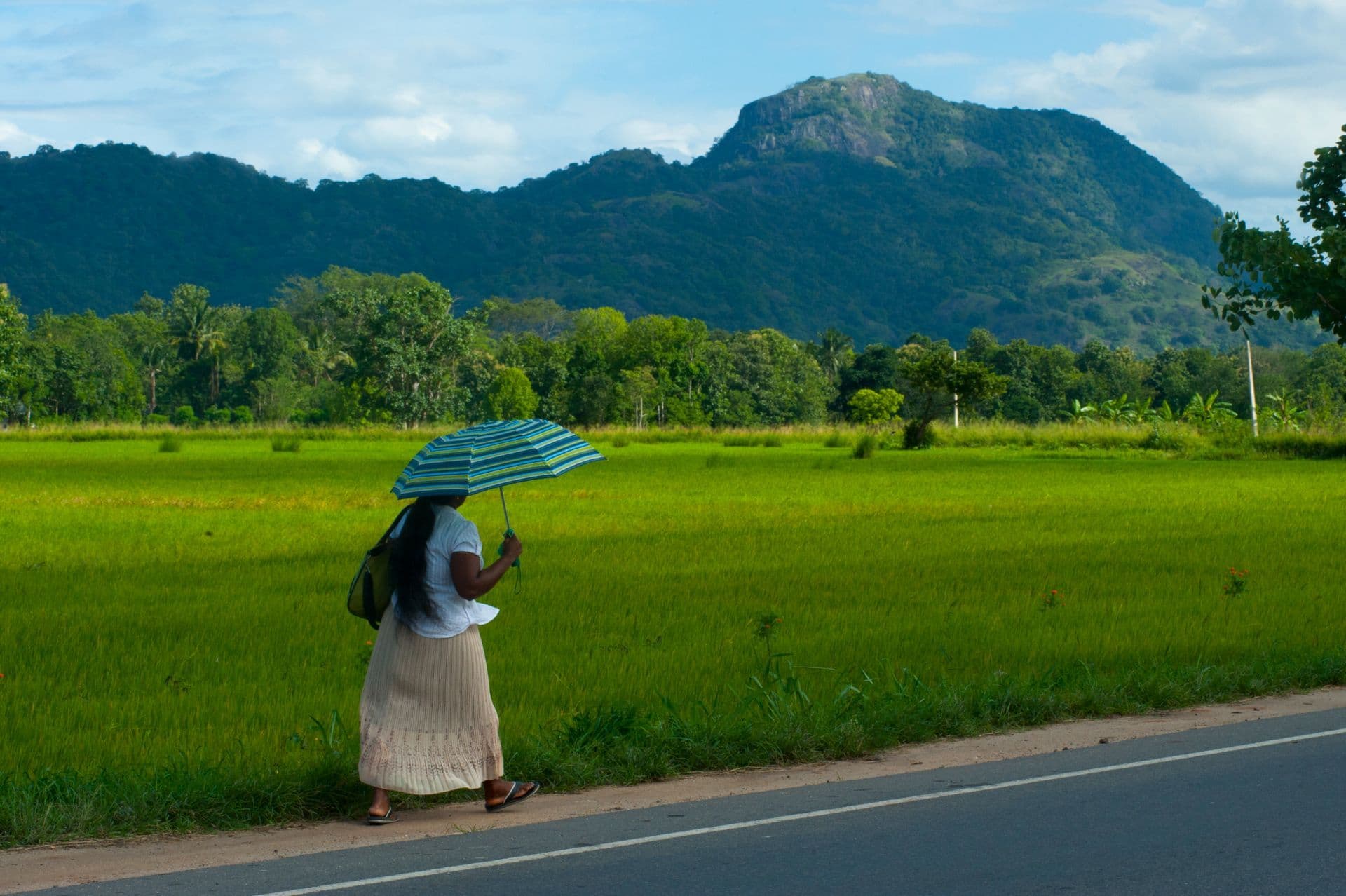 Quand partir au Sri Lanka ?